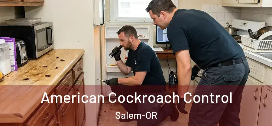 American Cockroach Control Salem-OR