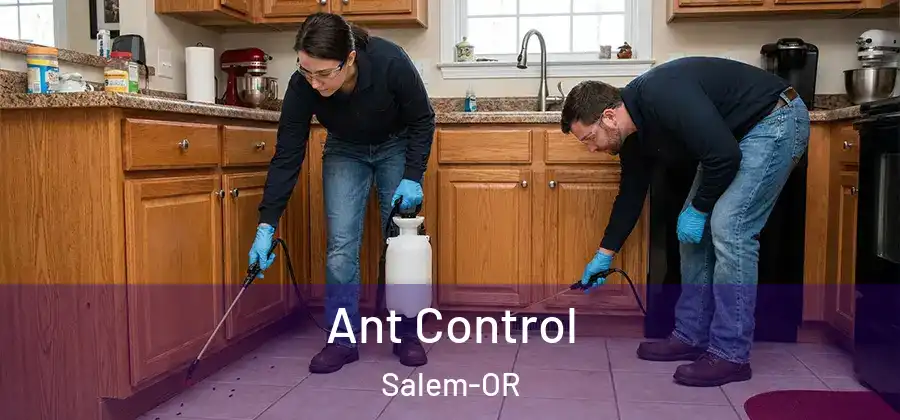 Ant Control Salem-OR
