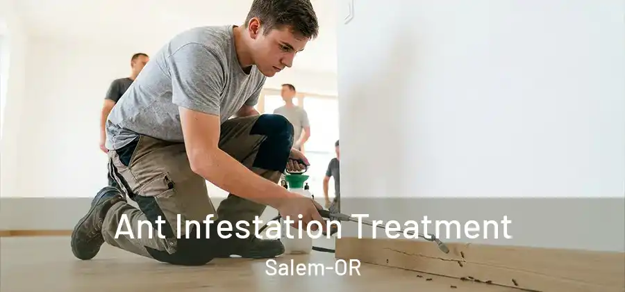 Ant Infestation Treatment Salem-OR