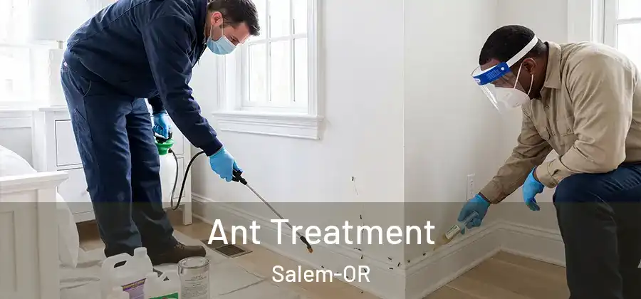 Ant Treatment Salem-OR
