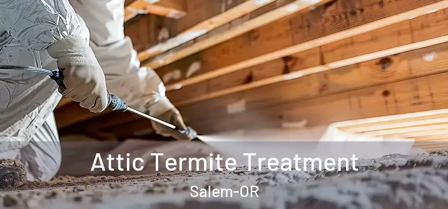 Attic Termite Treatment Salem-OR