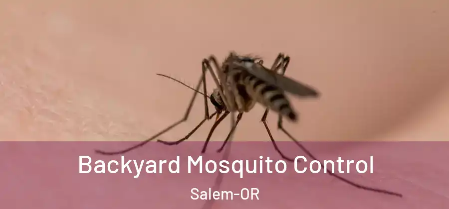 Backyard Mosquito Control Salem-OR
