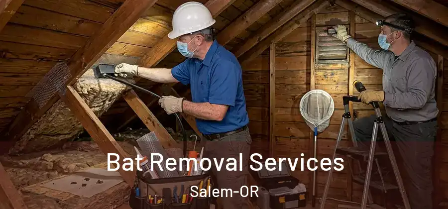 Bat Removal Services Salem-OR