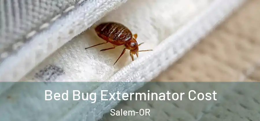 Bed Bug Exterminator Cost Salem-OR
