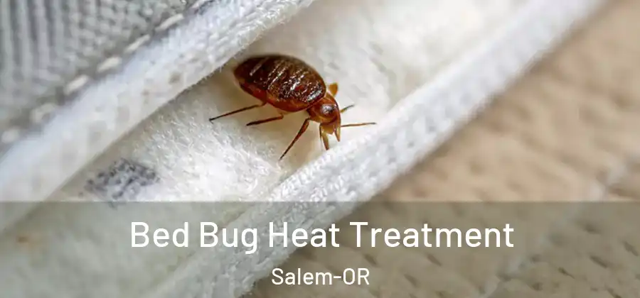 Bed Bug Heat Treatment Salem-OR