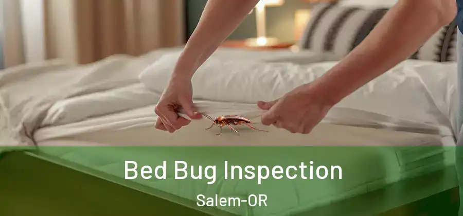 Bed Bug Inspection Salem-OR