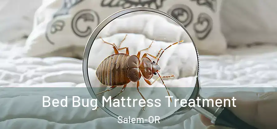 Bed Bug Mattress Treatment Salem-OR
