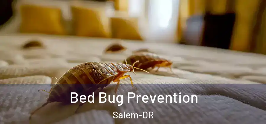 Bed Bug Prevention Salem-OR