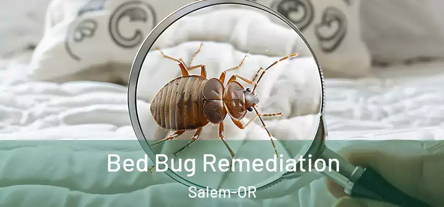 Bed Bug Remediation Salem-OR