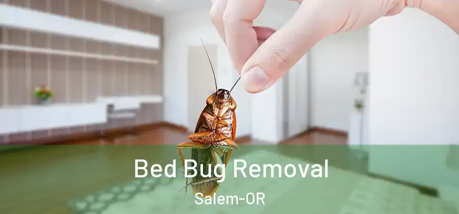 Bed Bug Removal Salem-OR
