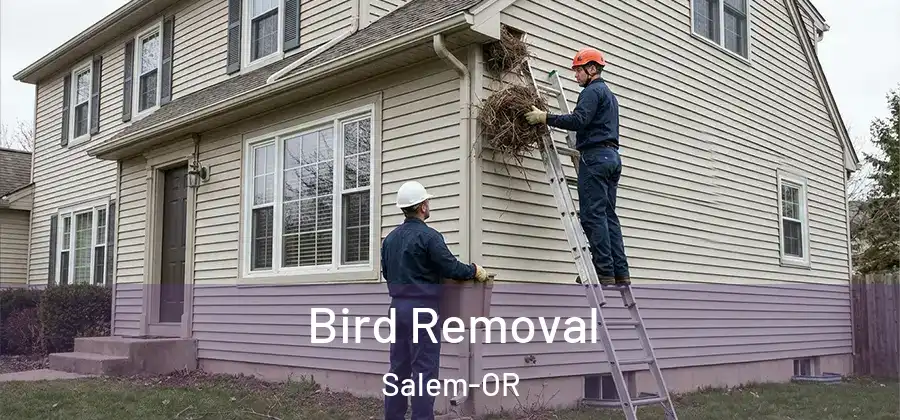  Bird Removal Salem-OR
