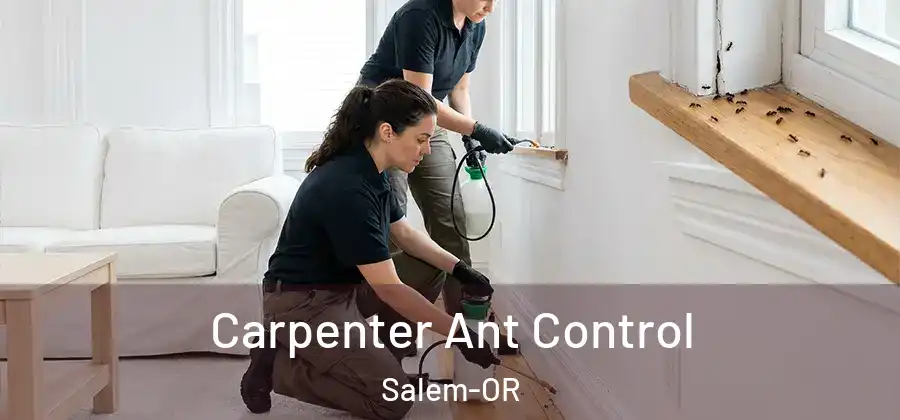 Carpenter Ant Control Salem-OR