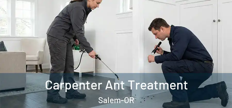 Carpenter Ant Treatment Salem-OR