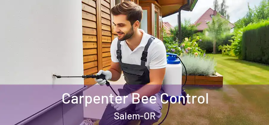 Carpenter Bee Control Salem-OR