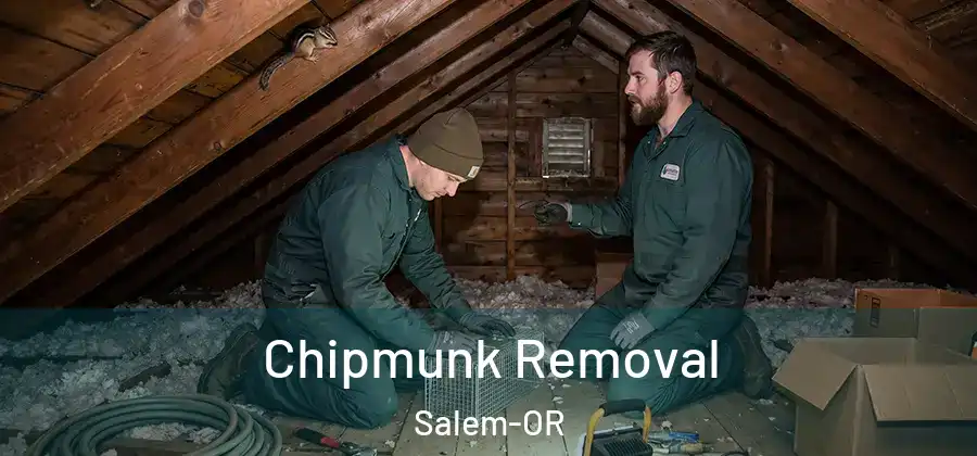 Chipmunk Removal Salem-OR