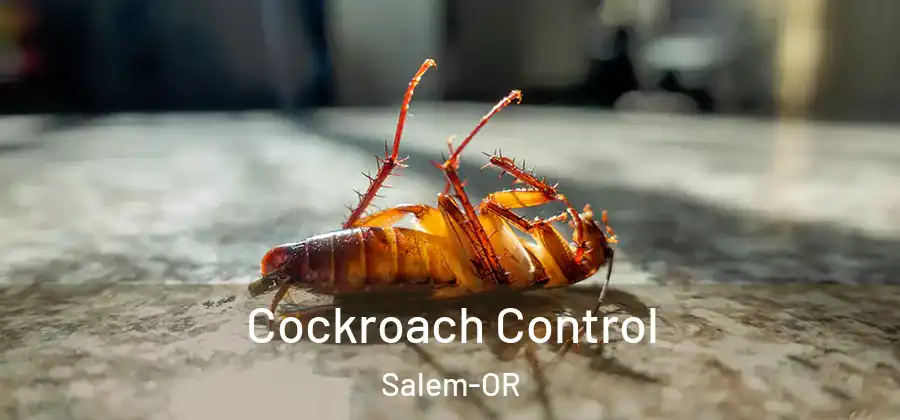 Cockroach Control Salem-OR