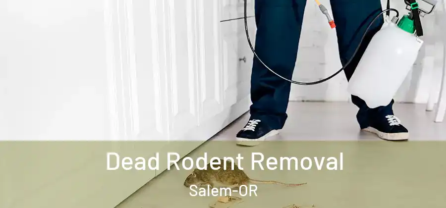  Dead Rodent Removal Salem-OR