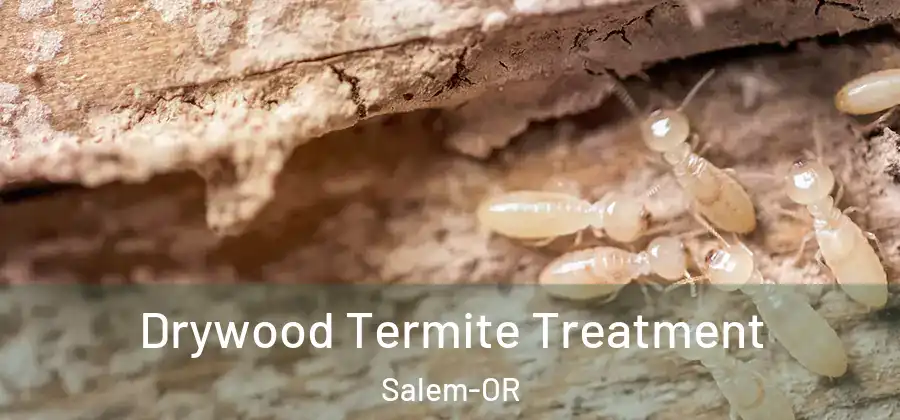 Drywood Termite Treatment Salem-OR