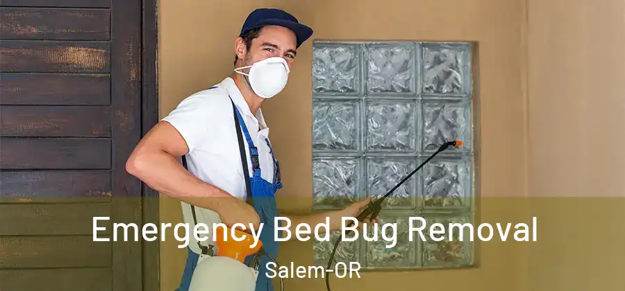 Emergency Bed Bug Removal Salem-OR