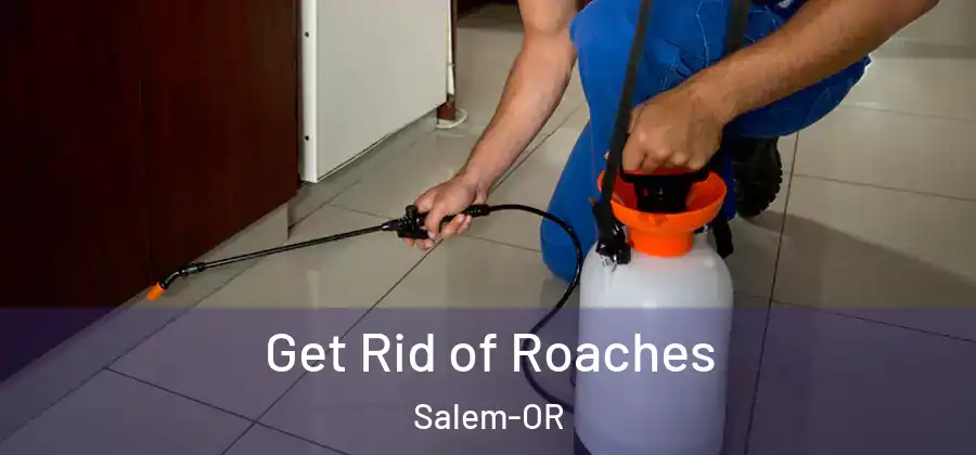 Get Rid of Roaches Salem-OR
