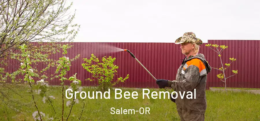  Ground Bee Removal Salem-OR