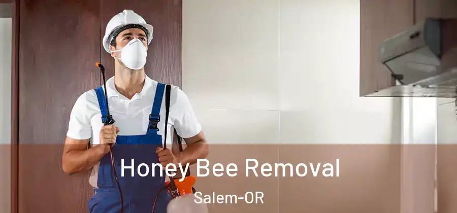 Honey Bee Removal Salem-OR