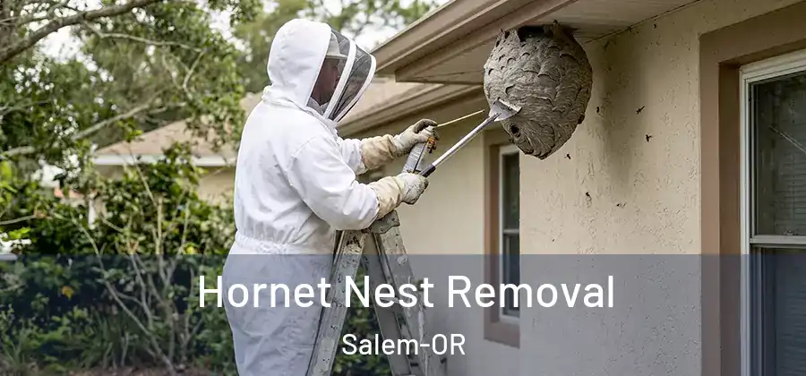 Hornet Nest Removal Salem-OR