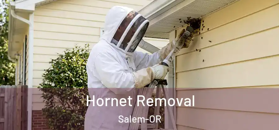 Hornet Removal Salem-OR