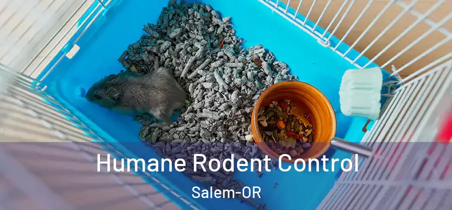 Humane Rodent Control Salem-OR
