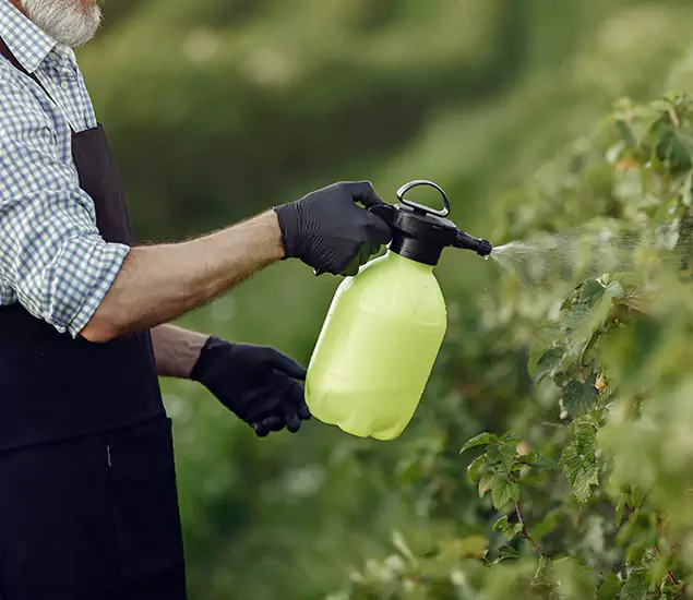 Your Proven Mosquito Treatment Company in Salem, OR