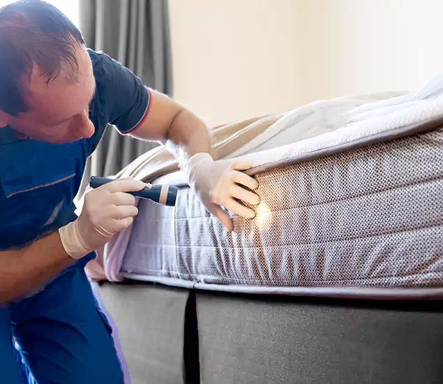 Trusted Bed Bug Cost Experts in Salem, OR
