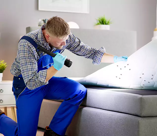 Trusted Bed Bug Remediation Experts in Salem, OR