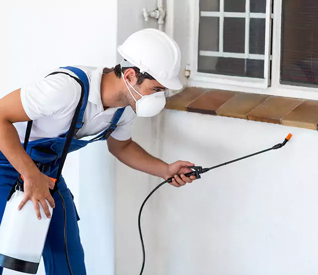 Your Professional Cockroach Exterminator in Salem, OR