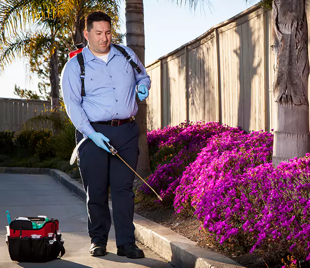 About Our Eco Safe Pest Control Experts in Salem, OR