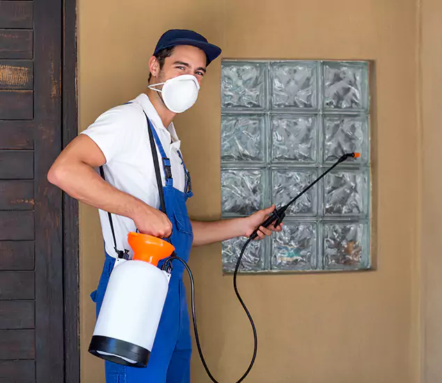 Your Reliable Pest Control in Salem, OR