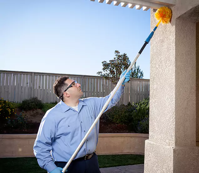 Trusted Experts in Salem OR for Formosan Termite Treatment and Black Termite Control
