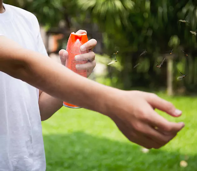 Your Best Indoor Bug Killer Team in Salem, OR