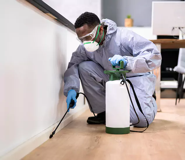 Leading Industrial Pest Control Experts Serving Salem, OR