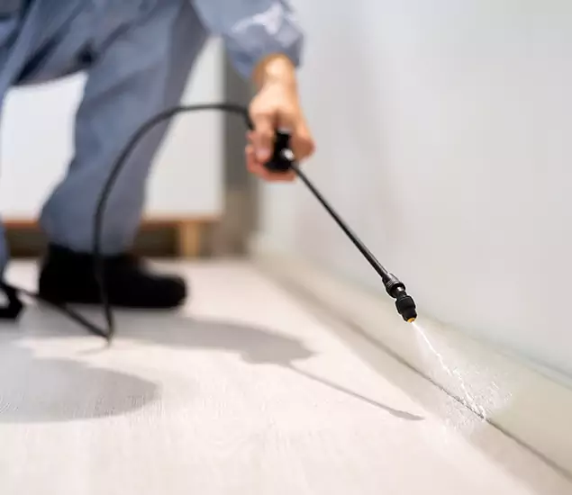 About Our Liquid Termite Treatment Experts in Salem, OR