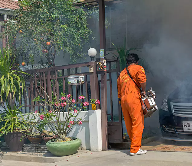 Your Proven Mosquito Fogging Company in Salem, OR