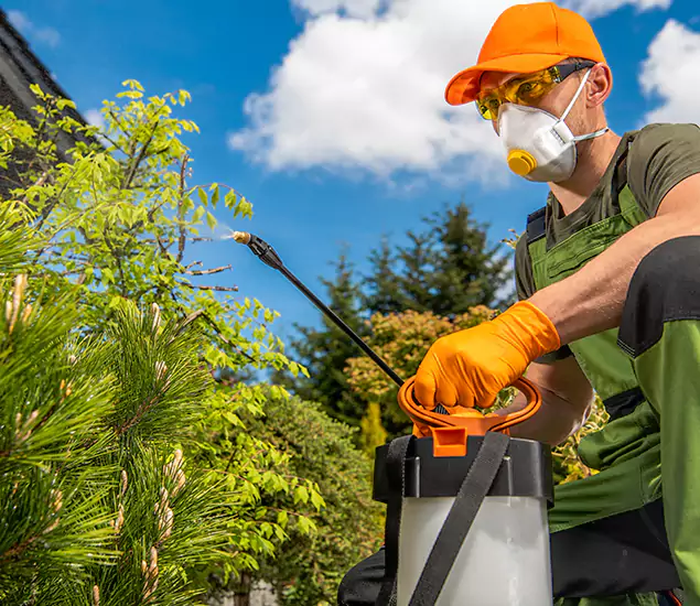 Your Best Bug Spray for Home Team in Salem, OR