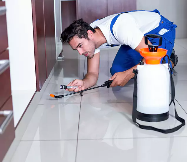 Reliable Professional Mouse Removal: Your Best Mouse Control Company in Salem, OR