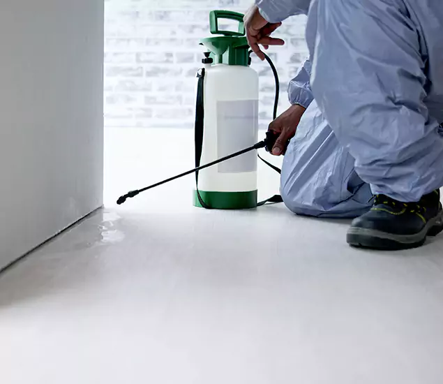 Affordable Pest Control Experts in Salem, OR