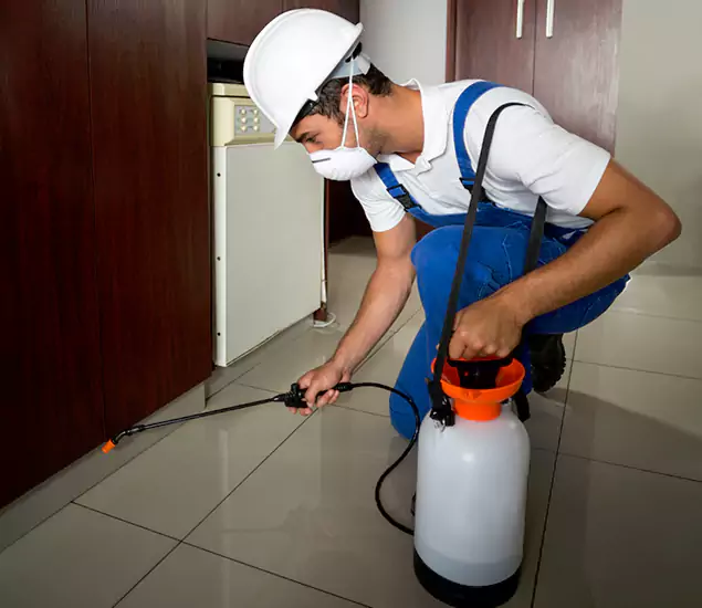 Advanced Termite Pre Treatment Experts in Salem, OR