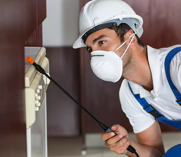 Expert Cockroach Exterminator: Your Roach Control Services in Salem, OR
