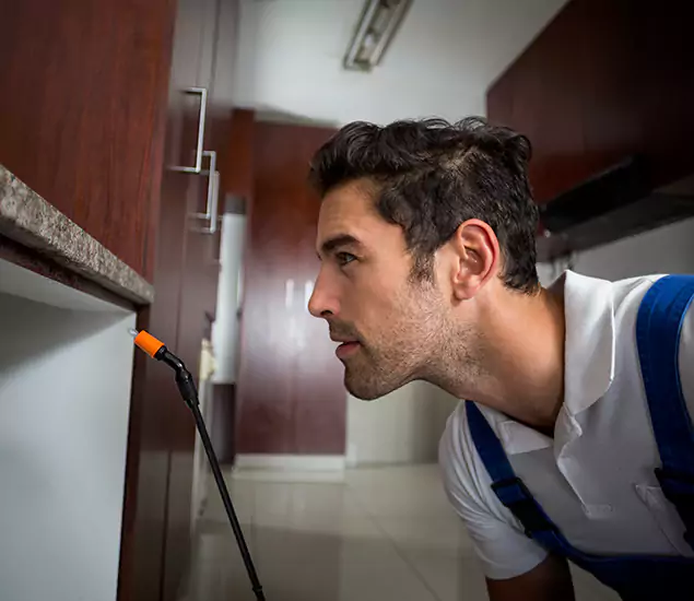 Expert Rodent in Attic Removal: Your Proven Pest Specialists in Salem, OR