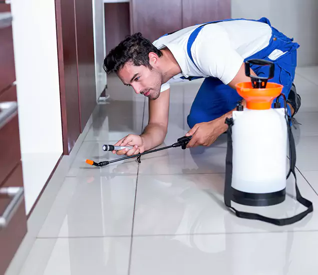 Advanced Slab Termite Treatment Experts You Can Trust&nbsp;in Salem, OR