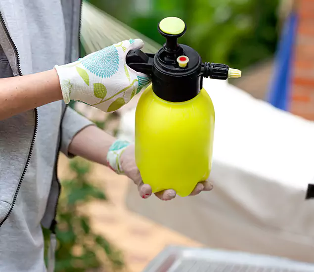 Skilled Residential Small Black Ant Service in Salem, OR