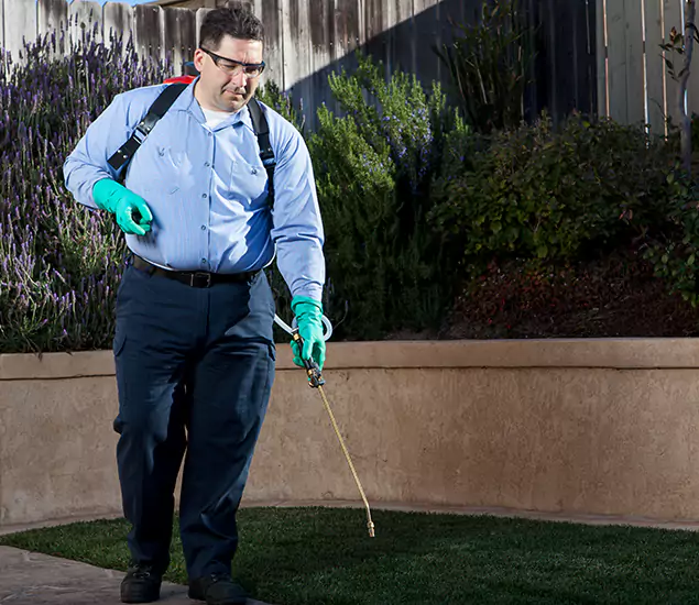 Reliable Termite Barrier Treatment Experts in Salem, OR