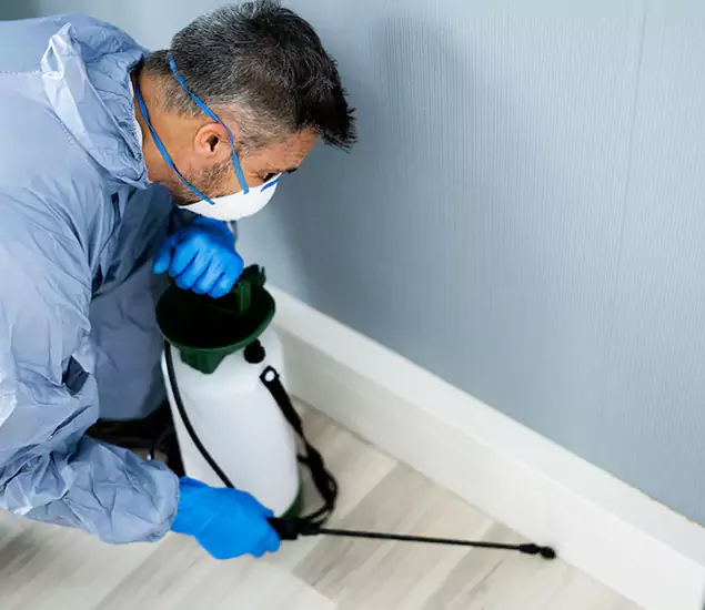 Reliable Termite Cost Experts in Salem, OR